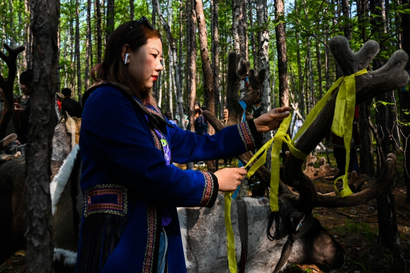 一名鄂温克族人在驯鹿角上系上表示祝福的丝带。（图：新华社）　

