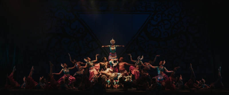 南利在1983年创立了Sutra Dance Theatre印度古典舞蹈剧场，希望能够拥抱彼此的文化。