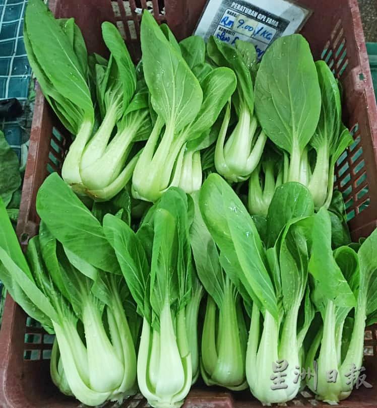 小白菜周四午后的批发价，降到1公斤6令吉。