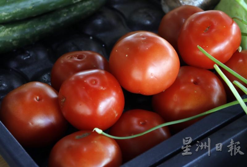 近期，番茄的价格有所调涨。