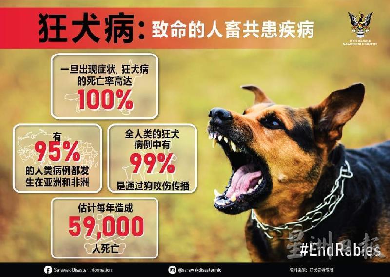 砂灾难管理委员会贴文提醒，一旦出现狂犬病症状，死亡率高达100％。