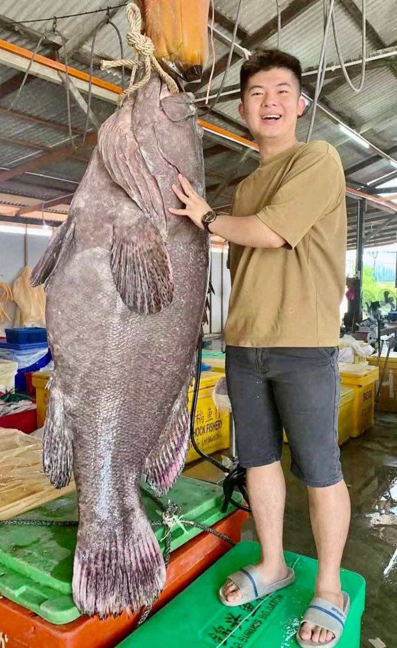 许子聪说,大龙趸和他一样高大。