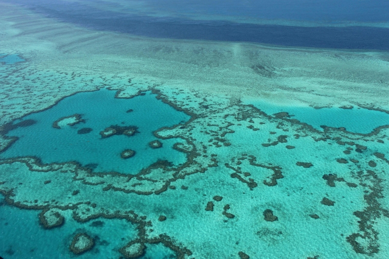 澳洲大堡礁过去26年来已因珊瑚白化问题失去了其一半的珊瑚。图为2014年11月20日在昆士兰州圣灵群岛岸外拍摄的大堡礁鸟瞰图。（法新社照片）

