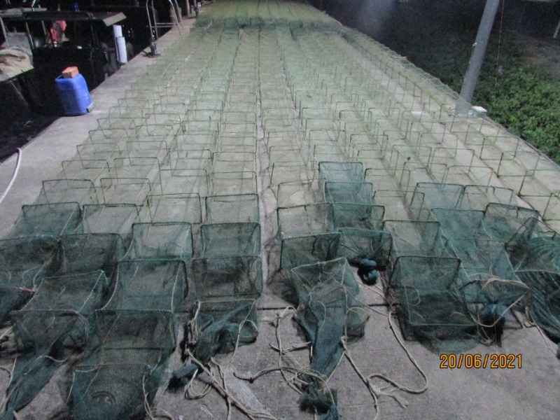执法员起获的20套非法渔具蜈蚣奎。