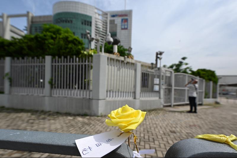 一枚系着“自由花”纸签的黄色玫瑰被摆放在香港苹果日报总部楼外。（法新社照片）