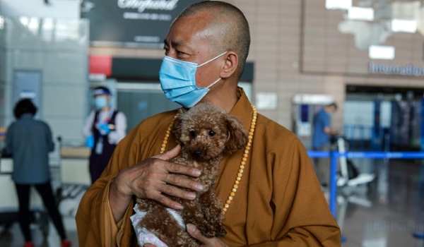 Zhi is a Buddhist monk who gives stray dogs a new life either at his ancient monastery or at a shelter he runs in Shanghai. AFP