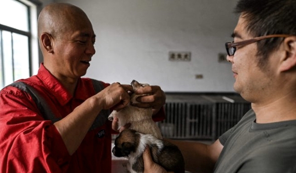 With help from volunteers and his small workforce, Zhi keeps several hundred dogs at his Bao'en Temple. AFP