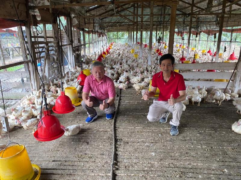 徐水和(左)与徐端和携手经营养鸡农场逾 40 年,也设立饲料厂,养殖品质优良肉鸡。 徐水和(左)与徐端和携手经营养鸡农场逾 40 年,也设立饲料厂,养殖品质优良肉鸡。