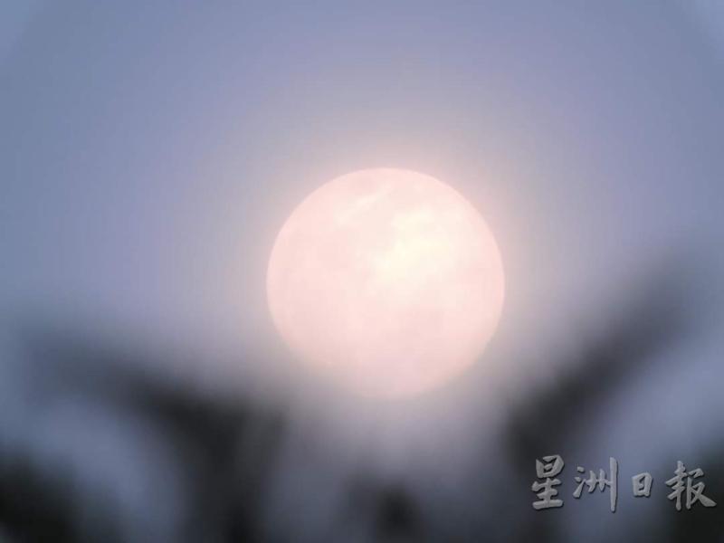 在太阳准备下山时刻，怡保出现肉眼可清楚看到的草莓超级月亮。