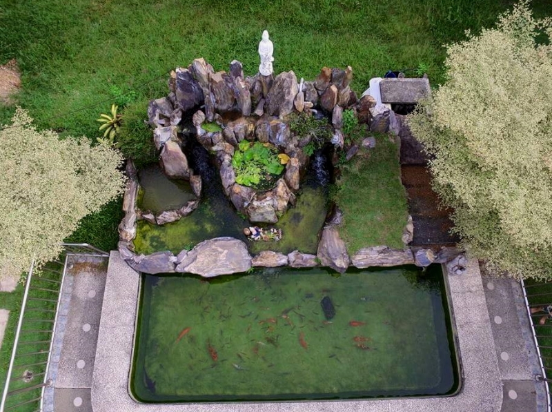 神庙的鱼池由郑添枝与理事们合理打造。 神庙的鱼池由郑添枝与理事们合理打造。