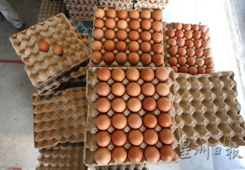 大马国内的鸡蛋和生鸡供应量可自给自足，无需依赖进口，国内鸡蛋价格在东南亚国家里可说最便宜。