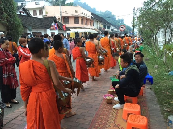 清晨观摩人们布施予僧人，心中满是感动。。

