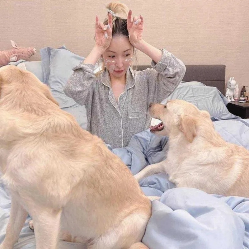 萧亚轩今年2月和男友黄浩不慎被爱犬咬伤。
