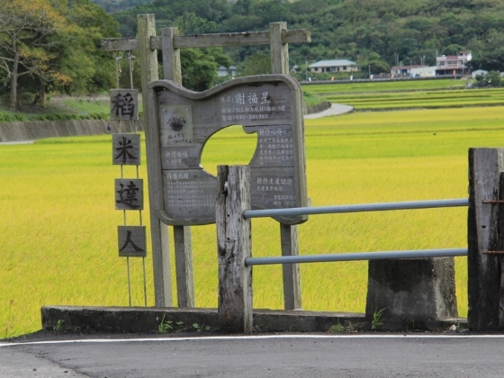 台东池上的稻田边，可以见到不少这种介绍稻农的立形看板。