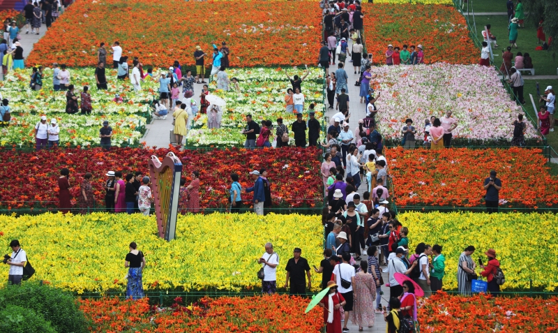 近日，在辽宁省沈阳市和平区沈水湾公园，十万株百合花竞相绽放，吸引市民游玩拍照留念。　