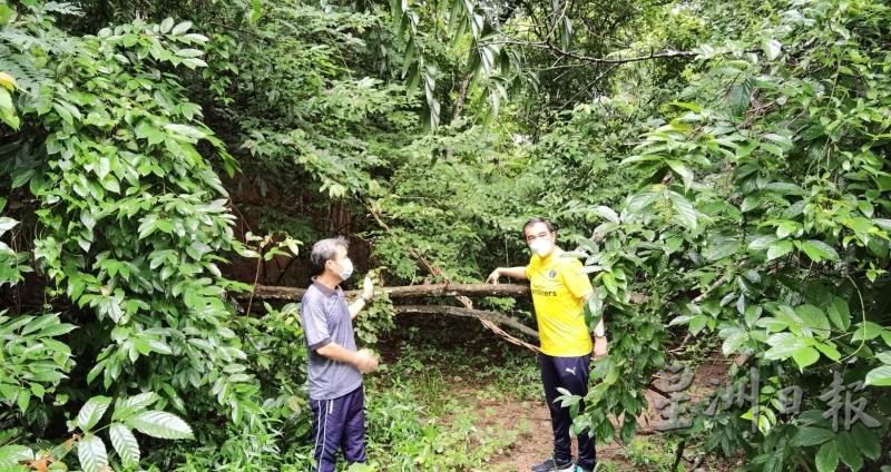 孙意志（右起）和尤端祥重回槟市厅公园，巡视步道及附近的登山径。