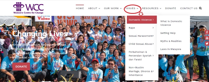 网站以英文为主，点选“Issues”选择相关课题，如“Domestic Violence”进入页面，才会显示语言（中文）选项。