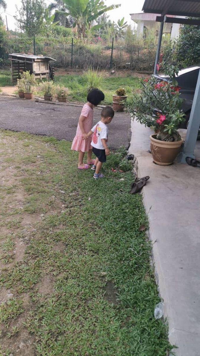 姐姐与弟弟手牵手，到花园里进行探索。