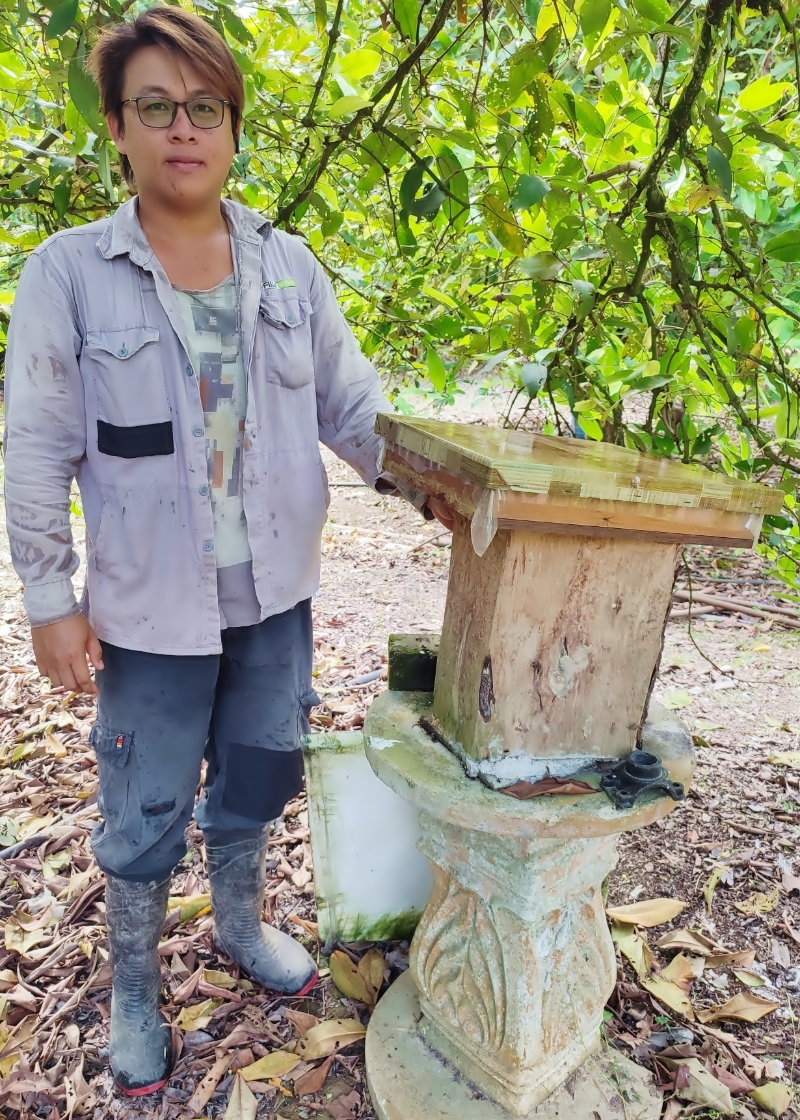 陈朝进每隔数天就会进入蜂园，确保银蜂健康生活。