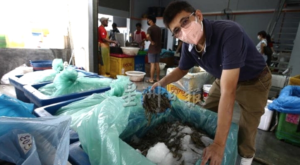 Gu's fish shop delivers at least 800kg of seafood a day to the needy. SIN CHEW DAILY