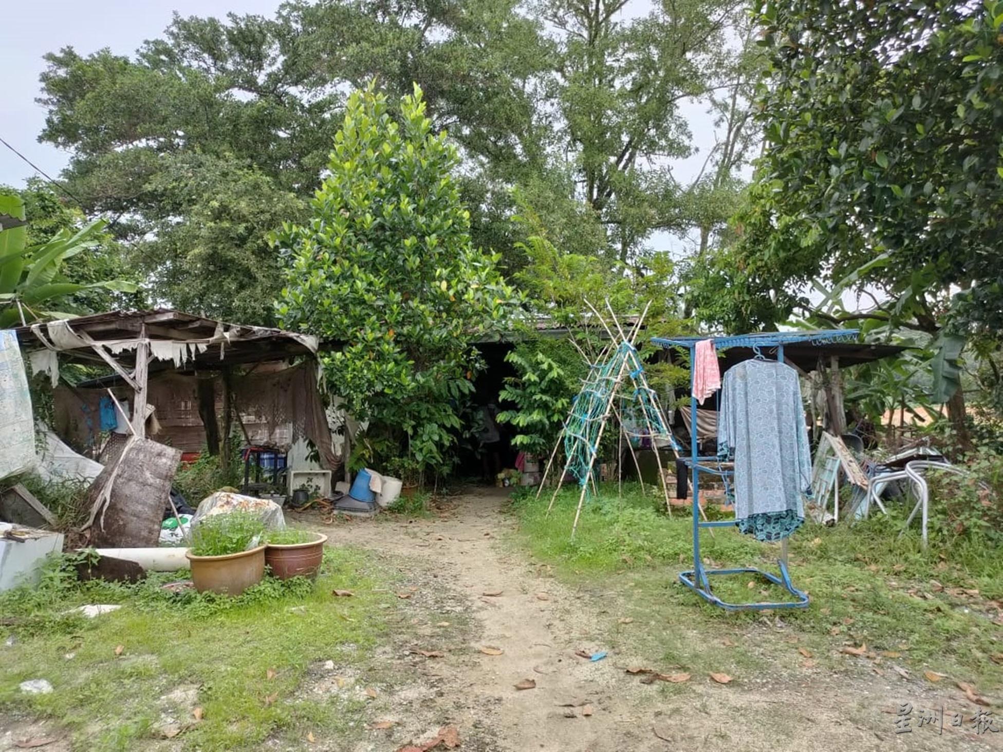 陈亚明与太太居住在破旧的木屋，生活贫困。

