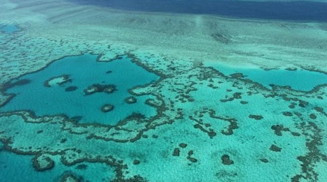 Australian scientists have said the Great Barrier Reef's outlook remains 'very poor' despite signs of coral recovery. AFP