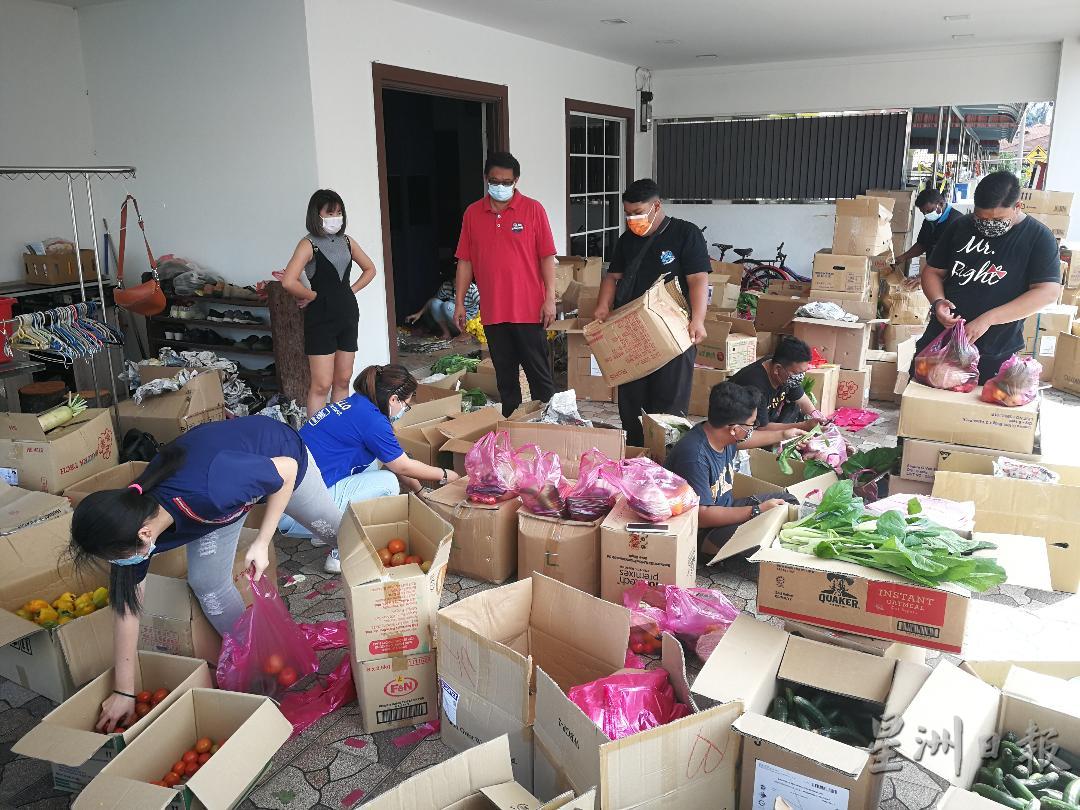 金马仑农友报效逾2000公斤蔬菜，志工们忙著包装以便可即日分发给有需要的人士。

