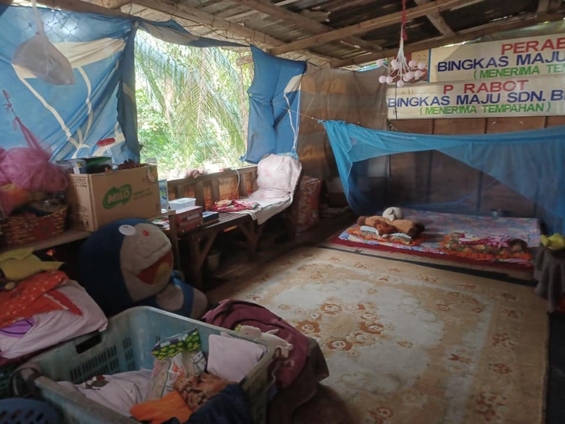 刘先生一家三口居住在直落邦里玛嘉朗油棕园的一间无水电供应的小板屋。