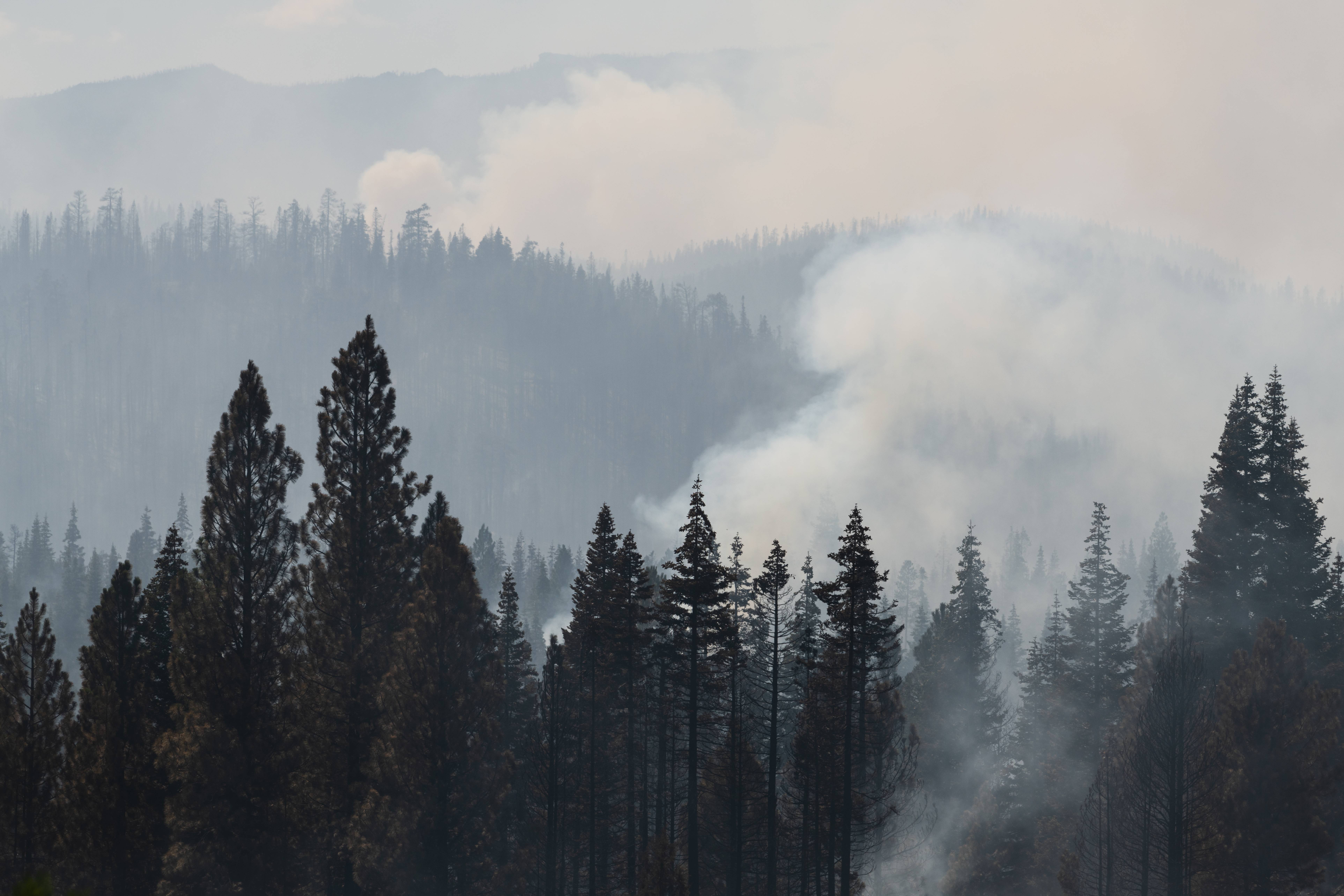 俄勒冈州猛烈的森林野火，甚至改变了该区域的气候。（法新社图片）