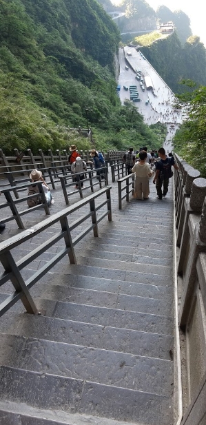 从天门山999阶梯，可自行徒步到半山的巴士接载处。

