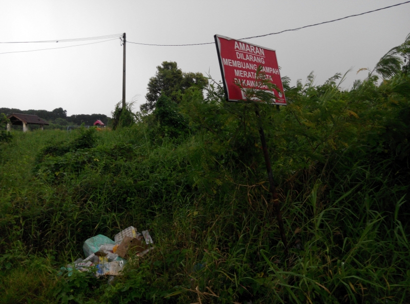 尽管当局设立禁止丢垃圾的告示牌，人民仍把垃圾丢在草丛中。