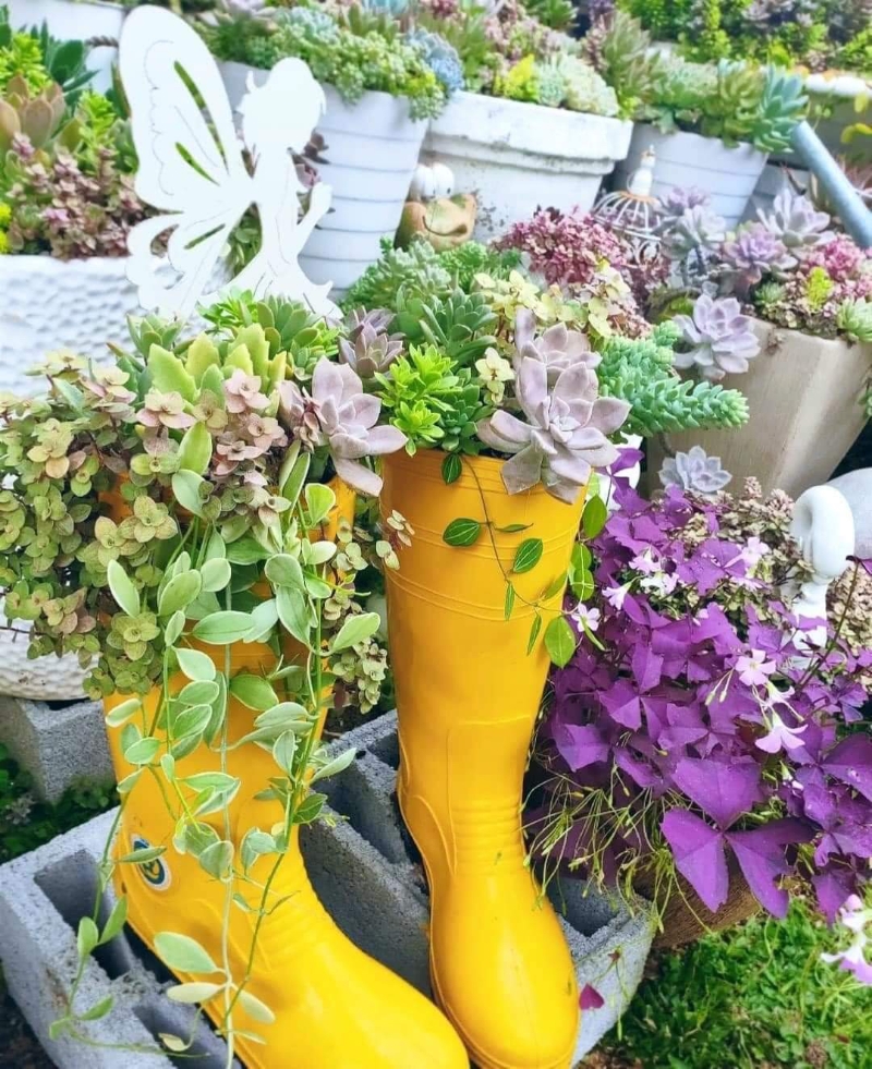 靴子底部开洞后便能“废物利用”，成为花园里最亮丽的花器。