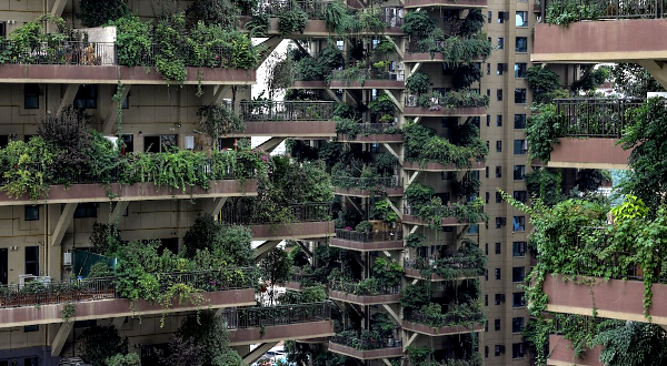 Apartments with balconies covered with plants at a residential community in Chengdu. AFP Apartments with balconies covered with plants at a residential community in Chengdu. AFP
