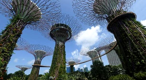 Singapore's Gardens by the Bay has giant plant-covered Singapore's Gardens by the Bay has giant plant-covered