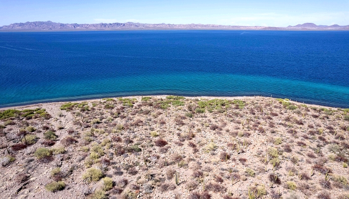 Aerial view of Bahia Concepcion on the Sea of Cortez near Mulege, South Baja California state, Mexico. AFP Aerial view of Bahia Concepcion on the Sea of Cortez near Mulege, South Baja California state, Mexico. AFP