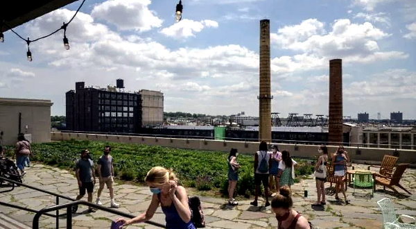 Across three New York rooftops, totaling more than 22,000 square meters, Brooklyn Grange farms a wide variety of vegetables. AFP Across three New York rooftops, totaling more than 22,000 square meters, Brooklyn Grange farms a wide variety of vegetables. AFP