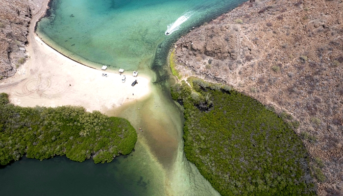 Aerial view of the Sea of Cortez near Mulege, South Baja California state, Mexico. AFP Aerial view of the Sea of Cortez near Mulege, South Baja California state, Mexico. AFP
