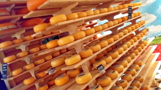 金黄色的奶酪整整齐齐的摆放在架子上，一进门香气便扑面而来。

