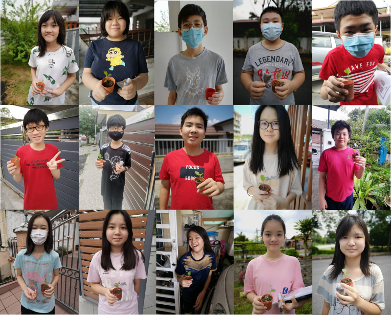 学生们与自己的幼苗合照,期待着细心照料30天后的开花结果。