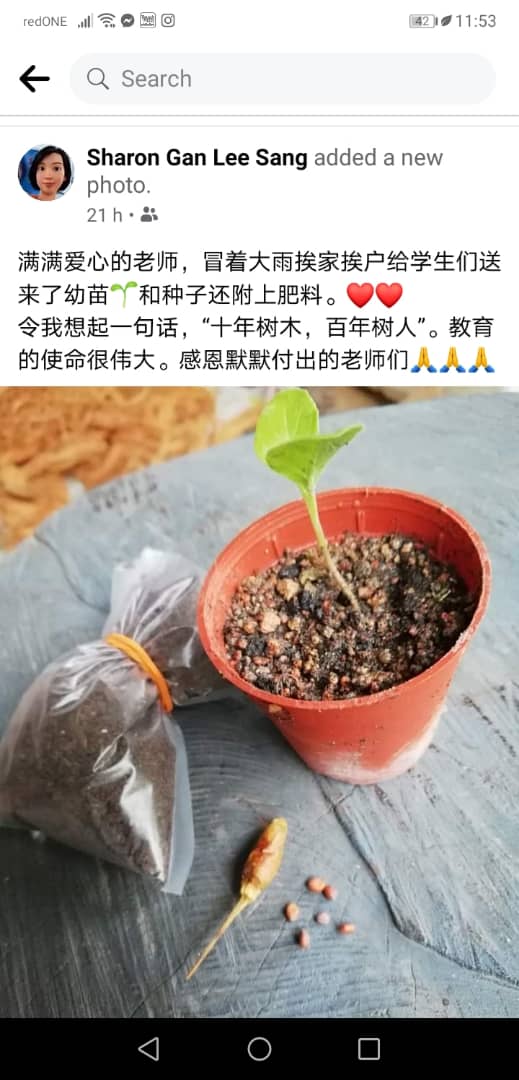 学生的母亲通过脸书感谢老师送上幼苗和肥料,赞扬老师的用心教育。