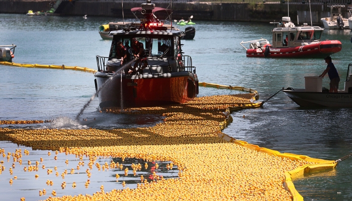 Rubber ducks are funneled toward the finish line in the Chicago River during the Chicago Ducky Derby in Chicago, Illinois. AFP Rubber ducks are funneled toward the finish line in the Chicago River during the Chicago Ducky Derby in Chicago, Illinois. AFP