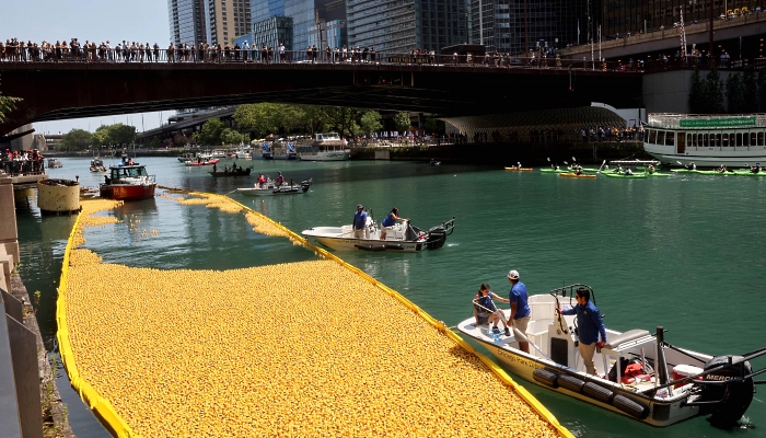 Workers retrieve rubber ducks dropped into the Chicago River following the Chicago Ducky Derby in Chicago, Illinois. AFP Workers retrieve rubber ducks dropped into the Chicago River following the Chicago Ducky Derby in Chicago, Illinois. AFP