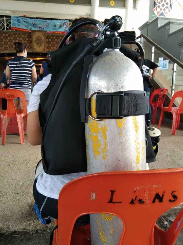 陈华珍背负的氧气筒重量约15公斤。
