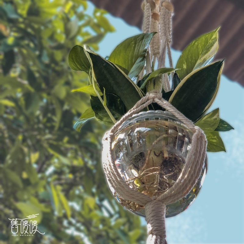 由macramé制作的盆栽吊篮，是一开始让刘洁娴开始钟情于编绳艺术，而开启了她的编织之旅。

