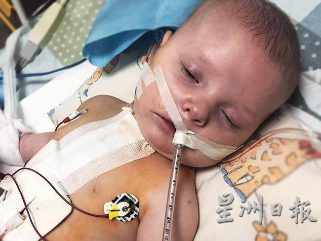 只有8个月大的波兰男童米罗斯卡，在美国等待换心手术。（波兰众筹机构https://www.siepomaga.pl/serce-milka照片）